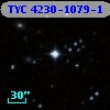 TYC 4230-1079-1