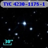 TYC 4230-1178-1