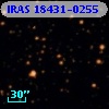 IRAS 18431-0255