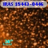 IRAS 18443-0446