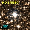 HD 175560
