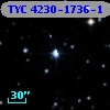 TYC 4230-1736-1
