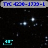 TYC 4230-1739-1