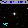 TYC 4230-1795-1
