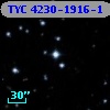 TYC 4230-1916-1