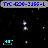 TYC 4230-2166-1