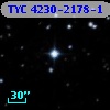 TYC 4230-2178-1