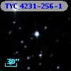 TYC 4231-256-1