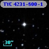 TYC 4231-800-1