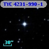TYC 4231-990-1