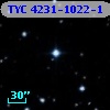 TYC 4231-1022-1