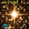 HD 175993