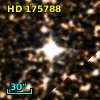 HD 175788