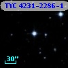 TYC 4231-2286-1