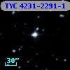 TYC 4231-2291-1