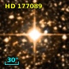HD 177089