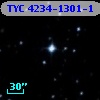 TYC 4234-1301-1
