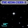 TYC 4234-2133-1