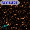 NSV 11625
