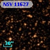 NSV 11627