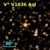 V* V1636 Aql