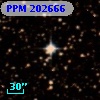 PPM 202666