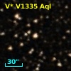 V* V1335 Aql