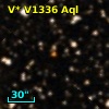 V* V1336 Aql