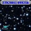 [STK2001] 09925b