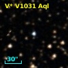 V* V1031 Aql