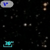 V* V769 Aql
