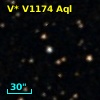V* V1174 Aql