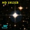 HD 191318