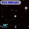 PLX 4901.01