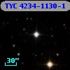 TYC 4234-1130-1