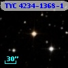 TYC 4234-1368-1
