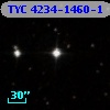 TYC 4234-1460-1