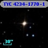 TYC 4234-1770-1