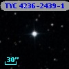 TYC 4236-2439-1