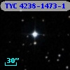 TYC 4238-1473-1