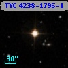 TYC 4238-1795-1