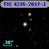 TYC 4238-2017-1