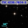 TYC 4238-2024-1