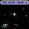 TYC 4238-2036-1