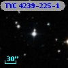 TYC 4239-225-1
