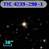 TYC 4239-290-1
