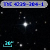 TYC 4239-304-1