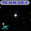 TYC 4239-329-1