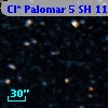 Cl* Palomar    5     SH      11