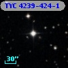 TYC 4239-424-1